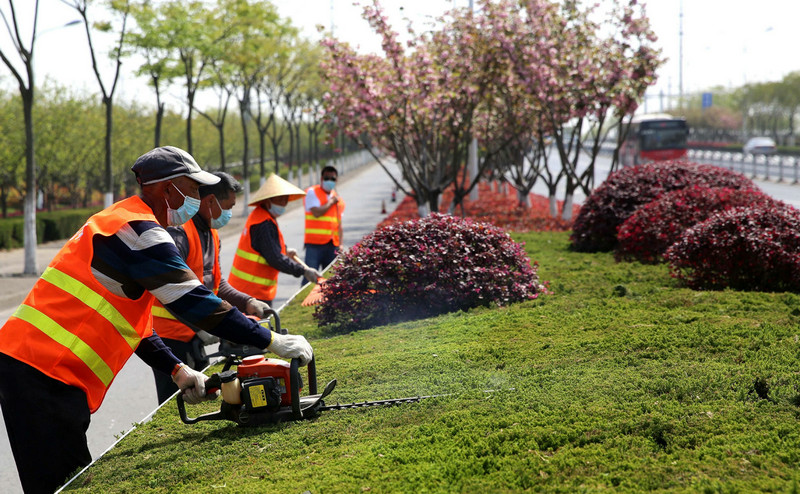 提高園林綠化養(yǎng)護(hù)管理水平的主要措施？